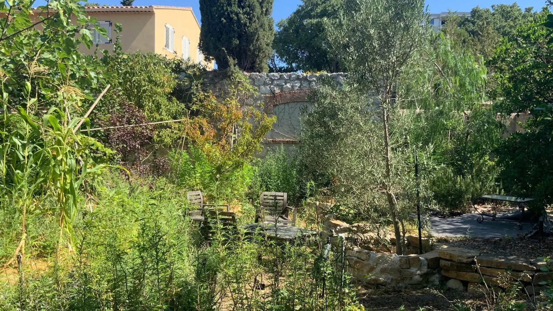 Ginkgo Bed & Breakfast Marseille France