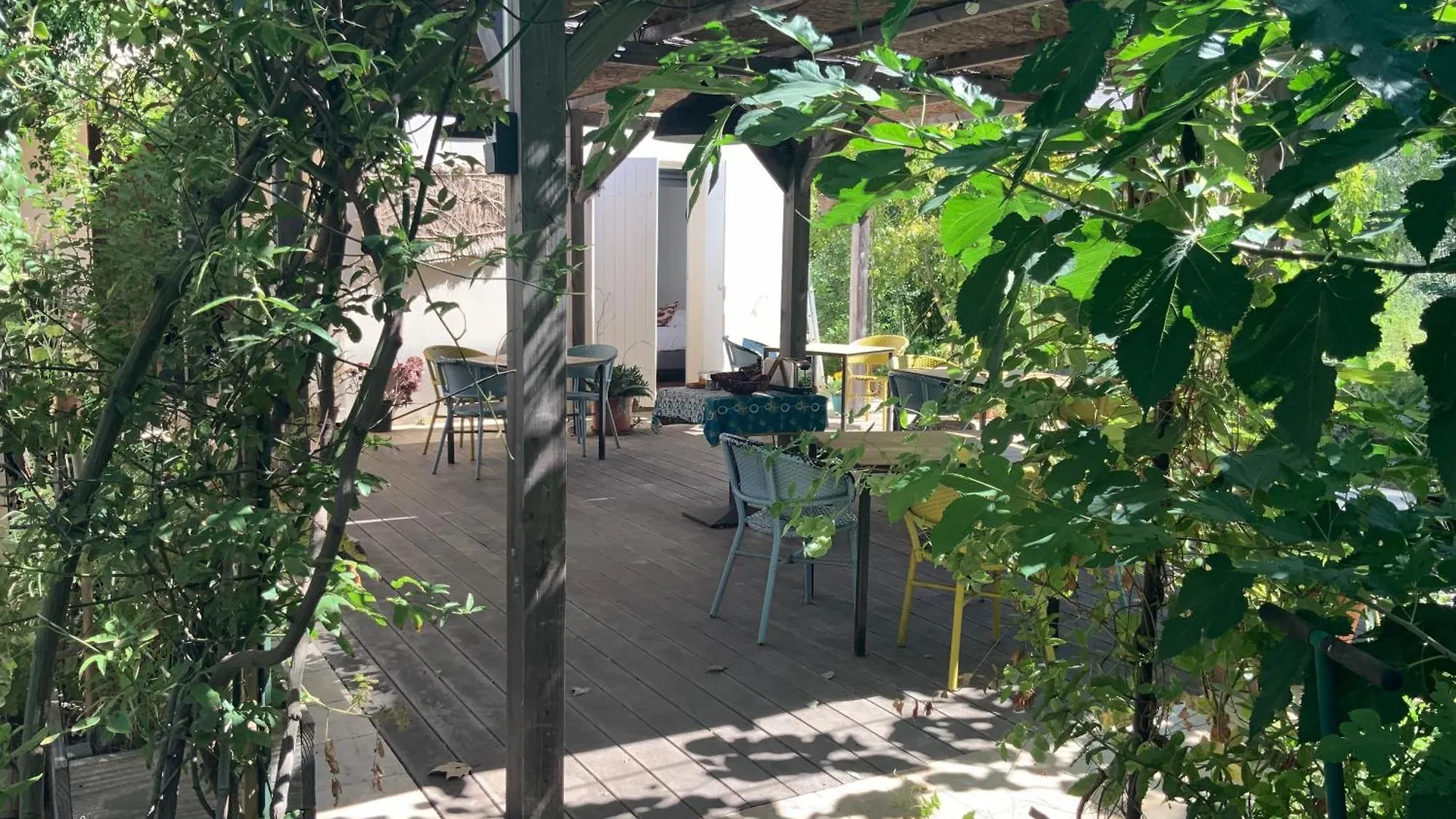 Ginkgo location
